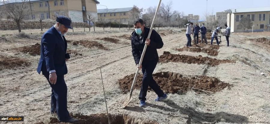 برگزاری آیین ارزشمند درختکاری در مرکز آموزش عالی شهید رجایی فرخشهر 2