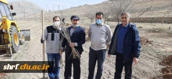 برگزاری آیین ارزشمند درختکاری در مرکز آموزش عالی شهید رجایی فرخشهر 3
