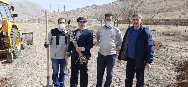 برگزاری آیین ارزشمند درختکاری در مرکز آموزش عالی شهید رجایی فرخشهر 3