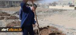 برگزاری آیین ارزشمند درختکاری در مرکز آموزش عالی شهید رجایی فرخشهر 4