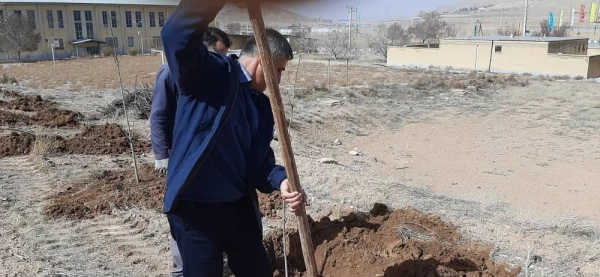 برگزاری آیین ارزشمند درختکاری در مرکز آموزش عالی شهید رجایی فرخشهر 4