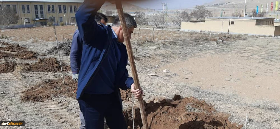 برگزاری آیین ارزشمند درختکاری در مرکز آموزش عالی شهید رجایی فرخشهر 4