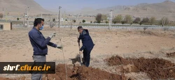 برگزاری آیین ارزشمند درختکاری در مرکز آموزش عالی شهید رجایی فرخشهر 5