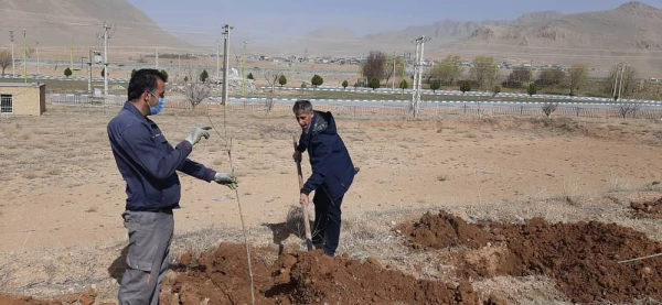 برگزاری آیین ارزشمند درختکاری در مرکز آموزش عالی شهید رجایی فرخشهر 5