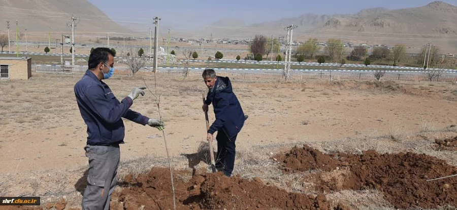 برگزاری آیین ارزشمند درختکاری در مرکز آموزش عالی شهید رجایی فرخشهر 5