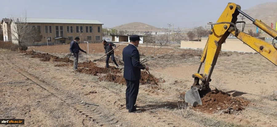 برگزاری آیین ارزشمند درختکاری در مرکز آموزش عالی شهید رجایی فرخشهر 6